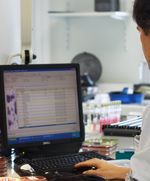 TDBactiLink middleware for a real paperless microbiology and bacteriology TDBactiLink middleware for a real paperless microbiology and bacteriology