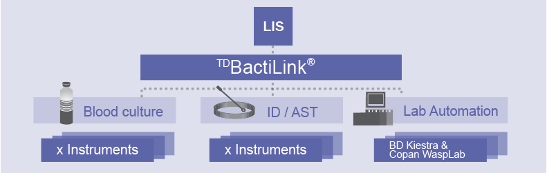 TDBactilink middleware, integration within the microbiology laboratory