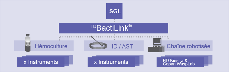 schema d'intégration du middleware TDBactiLink au sein du laboratoire de microbiologie et de bactériologie