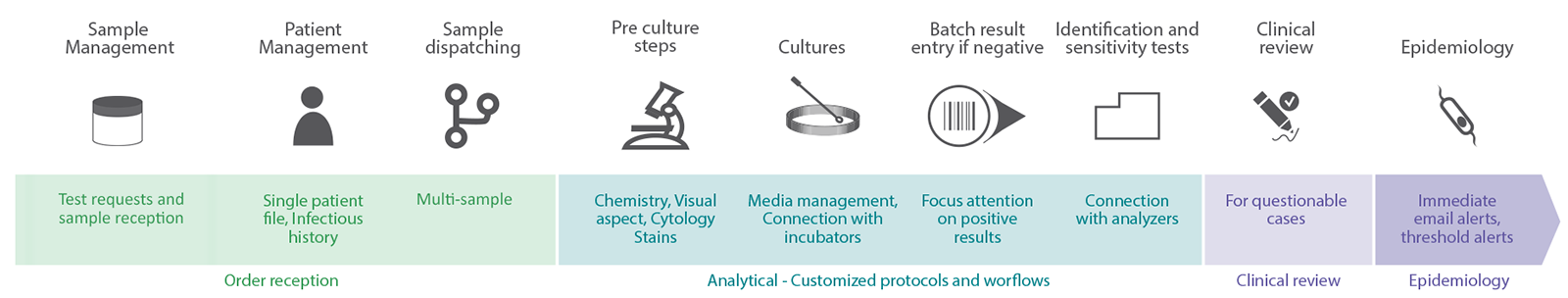 TDBactiLink workflow in the microbiology and bacteriology laboratory