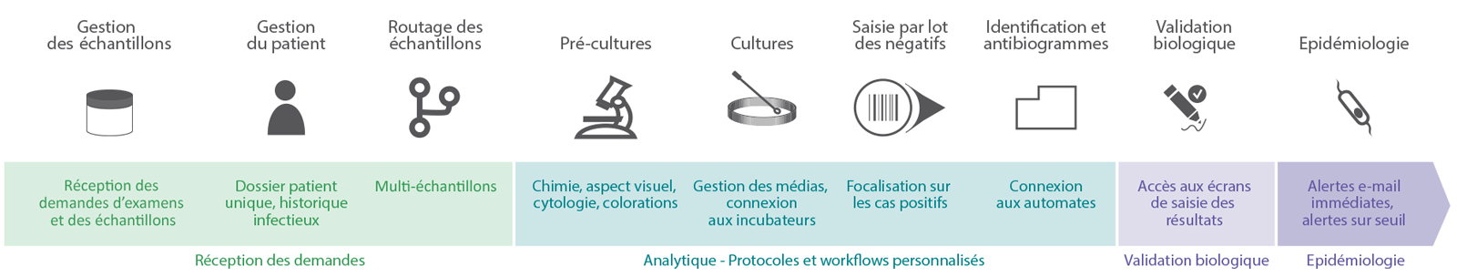 Schéma du workflow du middleware TDBactiLink au sein du laboratoire de microbiologie et de bactériologie